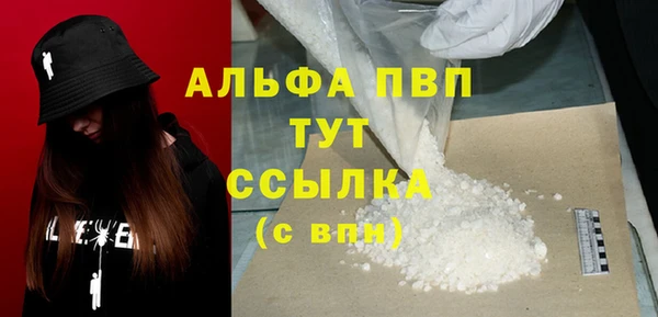 индика Кинешма