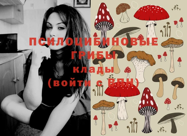 марки nbome Беломорск