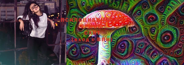 марки lsd Богородицк