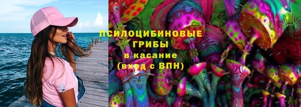 твердый Богданович